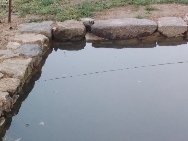 20231210_091756_resize_19