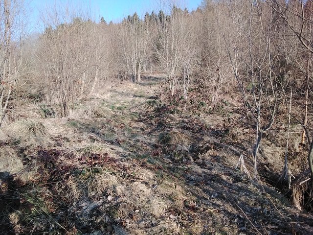 20220307_171255 20220307_171255