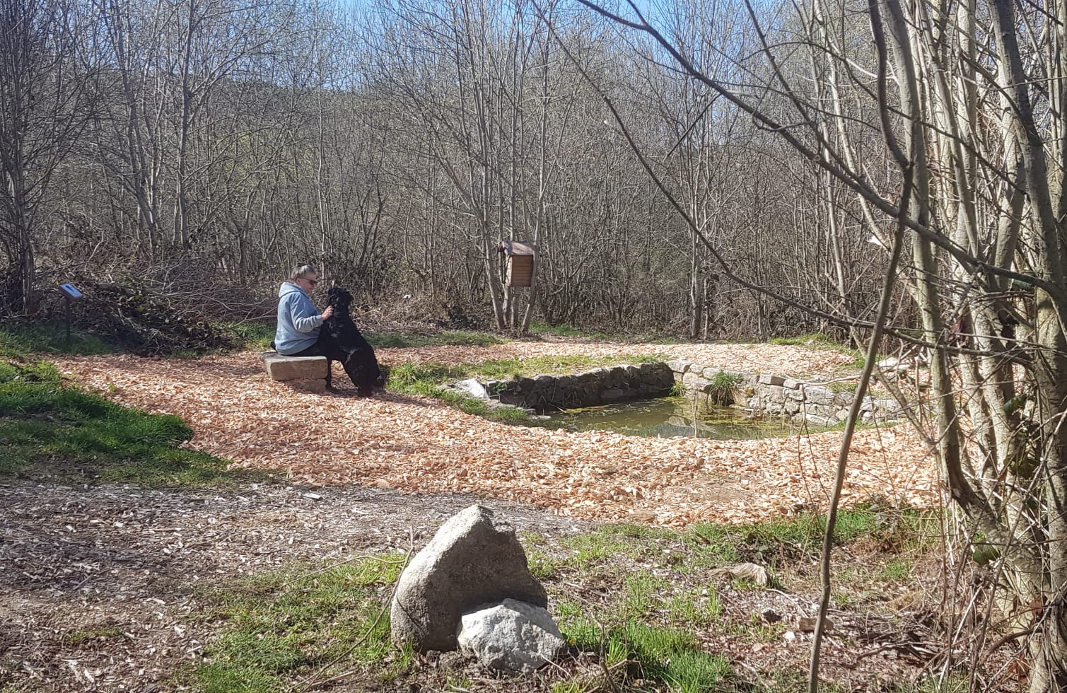 plaquettes_et_serves