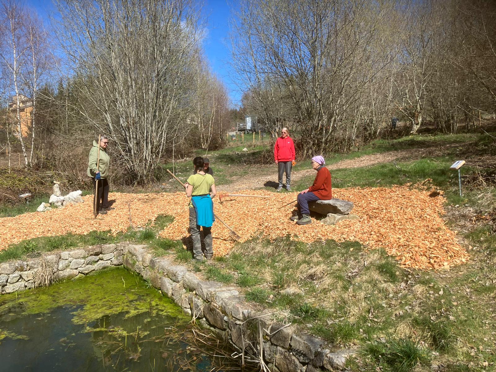 serves_et_plaquettes2