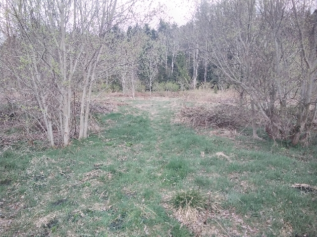 L'arche en  porte de sortie