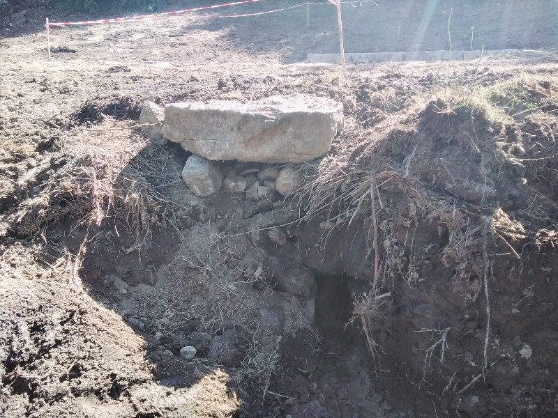 20230802_105823_resize_46 20230802_105823_resize_46