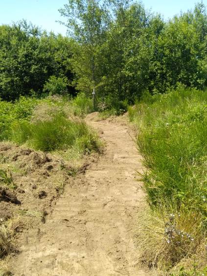 sentier_preexistant1