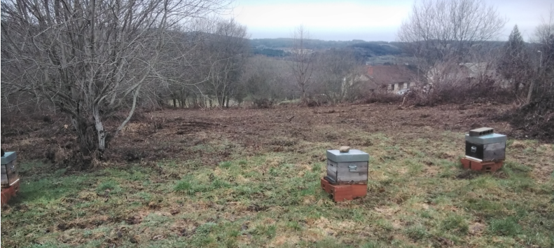 La vue s'est dégagée pour les abeillest