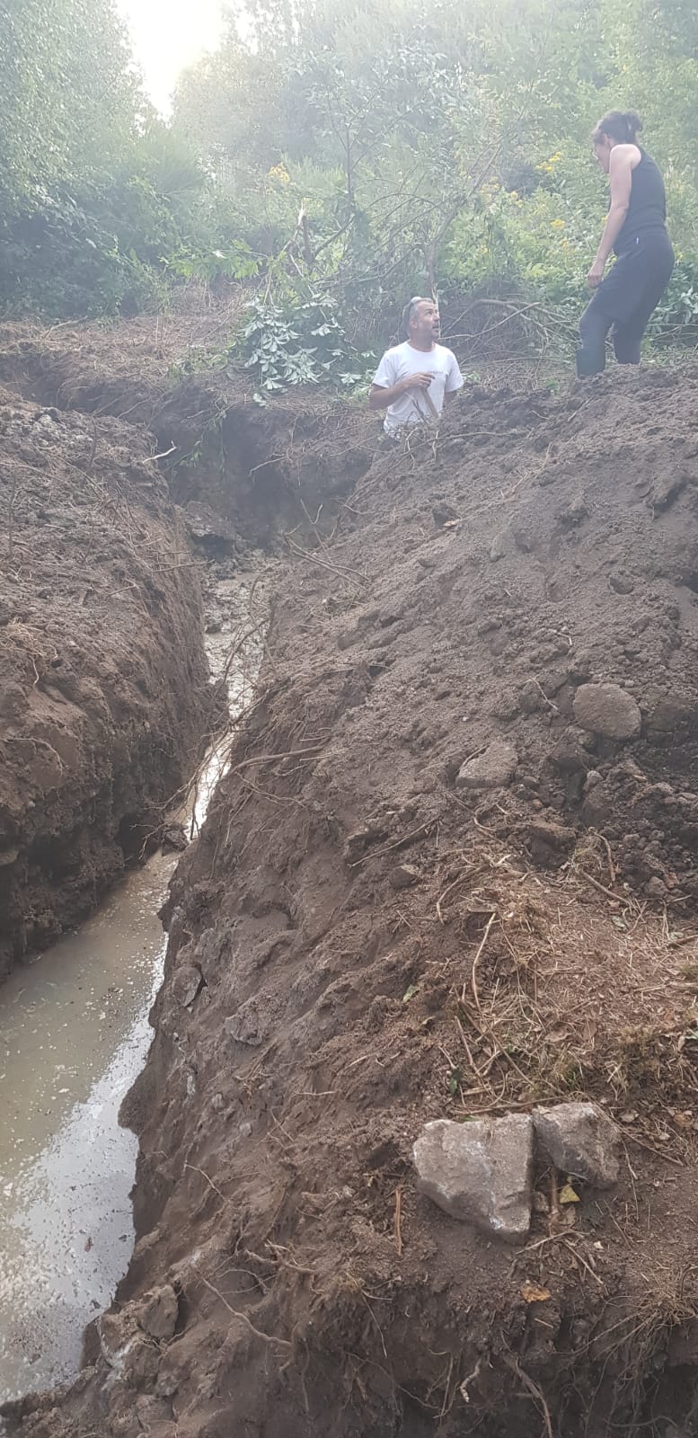 20250812-drain3 20250812-drain3