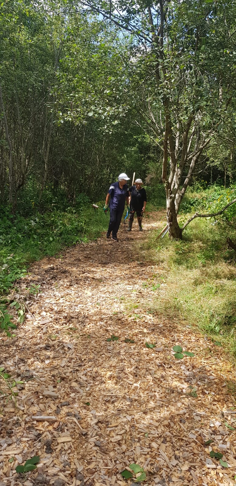 Les débroussailleuses